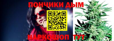 индика Абакан