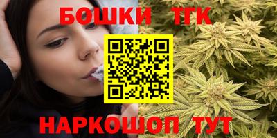 индика Абакан