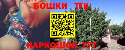 индика Абакан