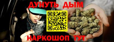 индика Абакан
