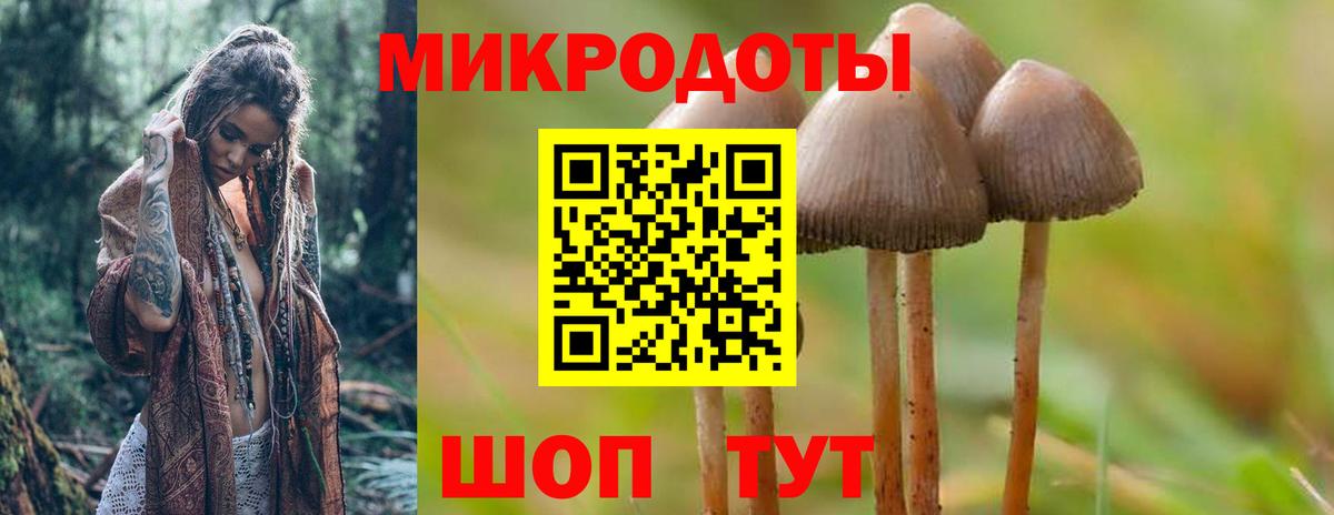 Галлюциногенные грибы GOLDEN TEACHER Архангельск